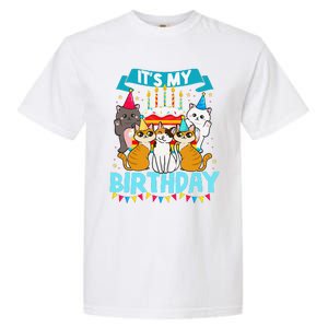 My Birthday Cat And Kitten Party Day Girl's And Boy's Garment-Dyed Heavyweight T-Shirt