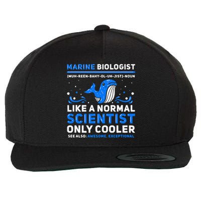 Marine Biologist Definition Marine Biology Wool Snapback Cap