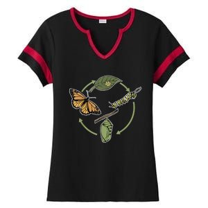 Monarch Butterfly Evolution Cute Butterfly Ladies Halftime Notch Neck Tee