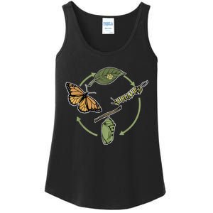 Monarch Butterfly Evolution Cute Butterfly Ladies Essential Tank