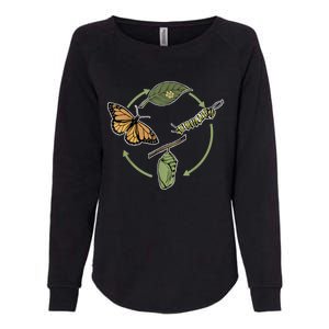 Monarch Butterfly Evolution Cute Butterfly Womens California Wash Sweatshirt