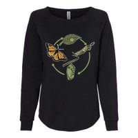 Monarch Butterfly Evolution Cute Butterfly Womens California Wash Sweatshirt