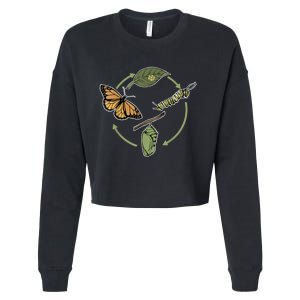 Monarch Butterfly Evolution Cute Butterfly Cropped Pullover Crew