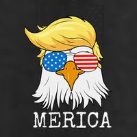 Merica Bald Eagle 4th Of July Trump American Flag 7 Panel Mesh Trucker Snapback Hat