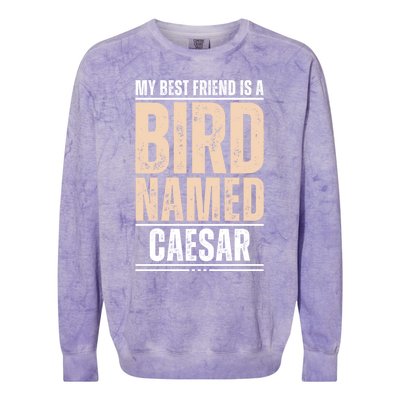 My Best Friend Is A Bird Named Caesar Cool Gift Colorblast Crewneck Sweatshirt