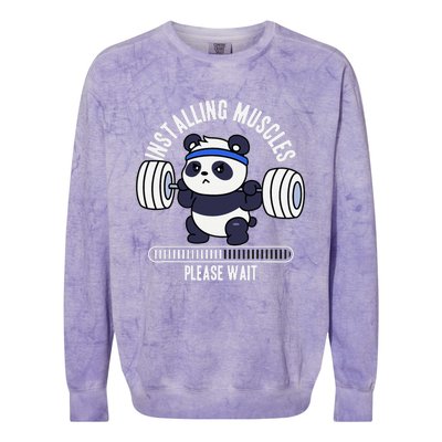 Muscle Building Fitness Panda Weight Lifting Barbell Workout Colorblast Crewneck Sweatshirt