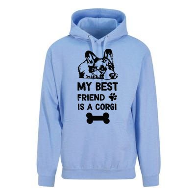 My Best Friend Is A corgi funny corgi dad corgi mom Unisex Surf Hoodie