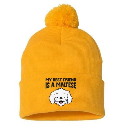 My Best Friend Is A Maltese Dog Pom Pom 12in Knit Beanie