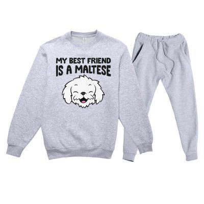 My Best Friend Is A Maltese Dog Premium Crewneck Sweatsuit Set