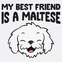 My Best Friend Is A Maltese Dog Hoodie