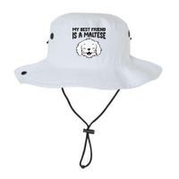 My Best Friend Is A Maltese Dog Bucket Hat