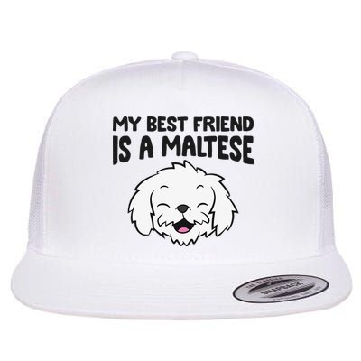 My Best Friend Is A Maltese Dog Flatbill Hat