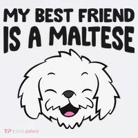My Best Friend Is A Maltese Dog Cooling Performance Long Sleeve Crew