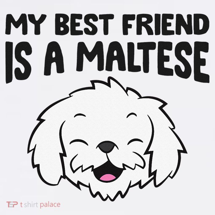 My Best Friend Is A Maltese Dog Cooling Performance Long Sleeve Crew