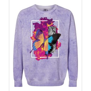 Metamorphosis Butterfly Graphic Colorblast Crewneck Sweatshirt