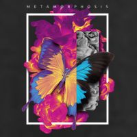 Metamorphosis Butterfly Graphic Adult Drive Performance Visor