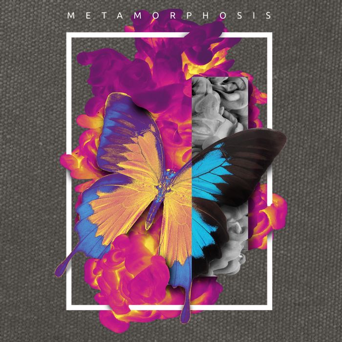 Metamorphosis Butterfly Graphic Cotton Canvas Backpack