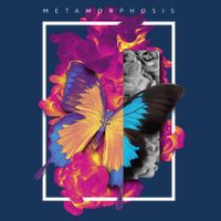 Metamorphosis Butterfly Graphic Hoodie