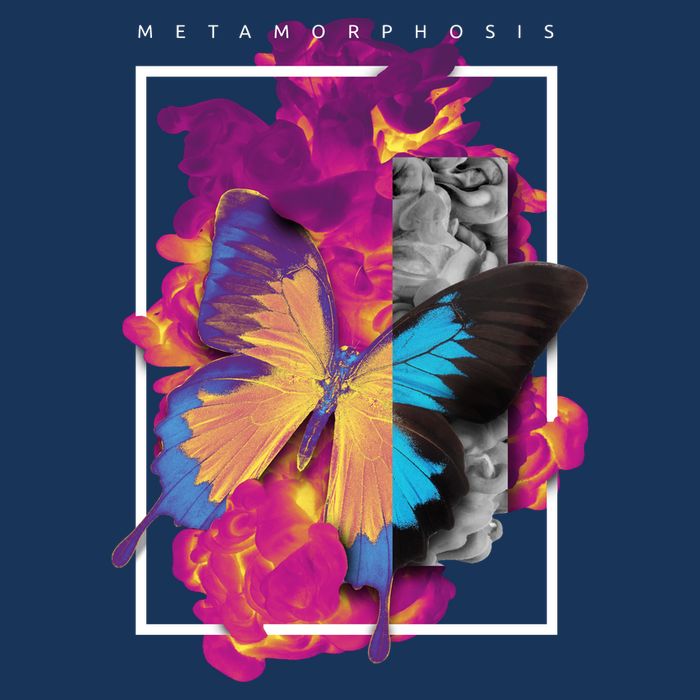 Metamorphosis Butterfly Graphic Hoodie