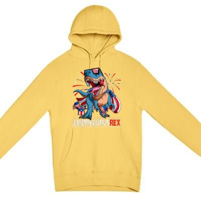 Men Boy Girl Funny Dinosaur 4th Of July B Amerisaurus T Rex Gift Premium Pullover Hoodie