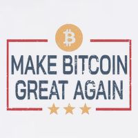 Make Bitcoin Great Again Bitcoin Wool Snapback Cap
