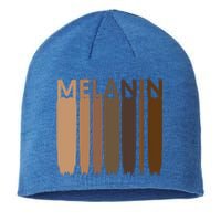 Melanin Black History Month Afrocentric Black Pride Cool Gift Sustainable Beanie