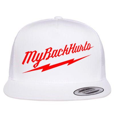 My Back Hurts Flatbill Hat