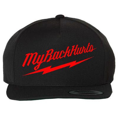 My Back Hurts Wool Snapback Cap