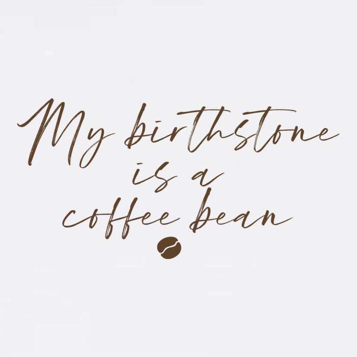 My Birthstone Is A Coffee Bean Funny Coffee Lover Flatbill Hat