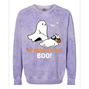 My Beagle Is My Boo Funny Spooky Ghost Dog Lover Halloween Great Gift Colorblast Crewneck Sweatshirt