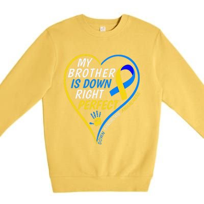 My Brother Is Down Right Perfect Down Syndrome Awareness Premium Crewneck Sweatshirt