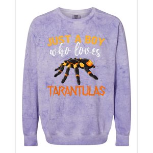 Men Boys Kids Just A Boy Who Loves Tarantulas Spider Colorblast Crewneck Sweatshirt