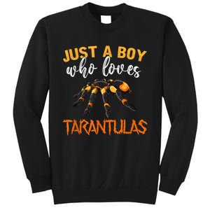 Men Boys Kids Just A Boy Who Loves Tarantulas Spider Sweatshirt