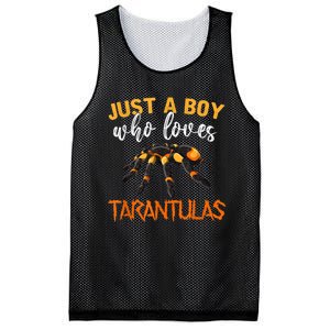 Men Boys Kids Just A Boy Who Loves Tarantulas Spider Mesh Reversible Basketball Jersey Tank