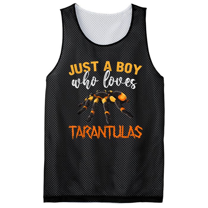 Men Boys Kids Just A Boy Who Loves Tarantulas Spider Mesh Reversible Basketball Jersey Tank