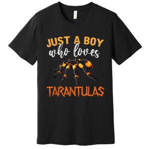 Men Boys Kids Just A Boy Who Loves Tarantulas Spider Premium T-Shirt