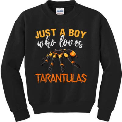 Men Boys Kids Just A Boy Who Loves Tarantulas Spider Kids Sweatshirt