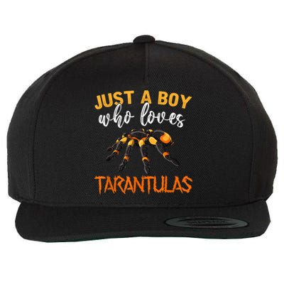 Men Boys Kids Just A Boy Who Loves Tarantulas Spider Wool Snapback Cap