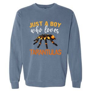 Men Boys Kids Just A Boy Who Loves Tarantulas Spider Garment-Dyed Sweatshirt