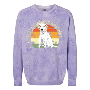 Men Best Labrador Dad Ever Retro Labrador Retriever Gifts Dog Colorblast Crewneck Sweatshirt