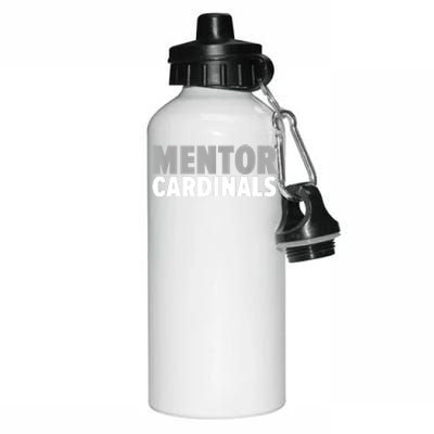 Mentor Bold Aluminum Water Bottle