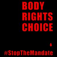 My Body My Rights My Choice Stop The Mandate Wool Snapback Cap