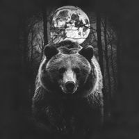 Moonlight Bear Adult Drive Performance Visor