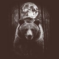 Moonlight Bear Cooling Performance Crew T-Shirt