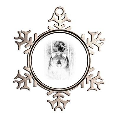 Moonlight Bear Metallic Star Ornament