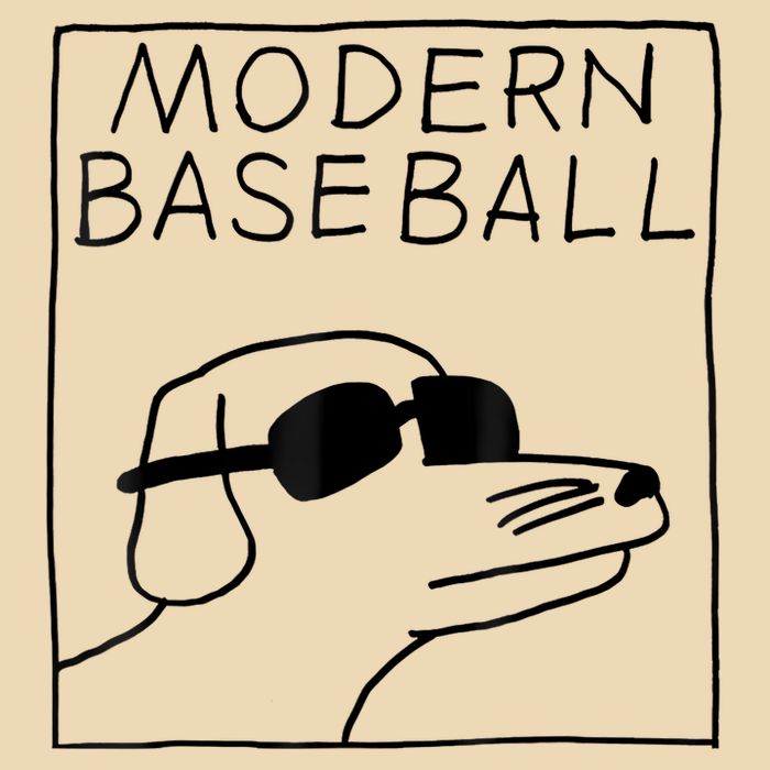 Modern Baseball Bag