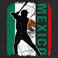 Mexican Baseball Player Mexico Flag Baseball Fans 11oz C Handle Ceramic Mug