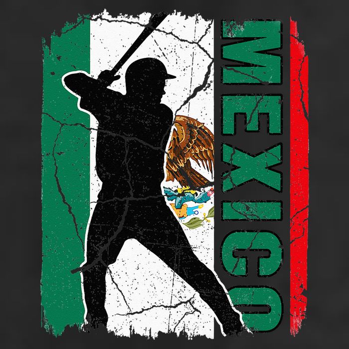 Mexican Baseball Player Mexico Flag Baseball Fans 11oz C Handle Ceramic Mug