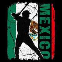 Mexican Baseball Player Mexico Flag Baseball Fans 16 in Basic Backpack