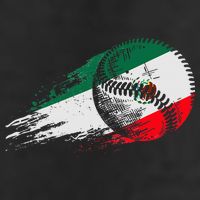 Mexican Baseball Player Mexico Flag Baseball Lover 11oz C Handle Ceramic Mug